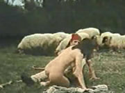 歐洲經典 希臘羊群堆裡愛愛